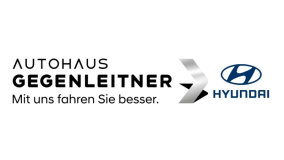 Hyundai-Gegenleitner