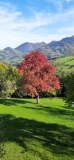 IMG-20191013-WA0014